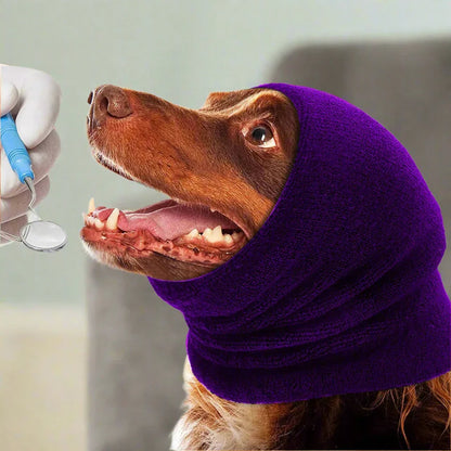 Snood Chien - CalmeOreilles™ - Violet
